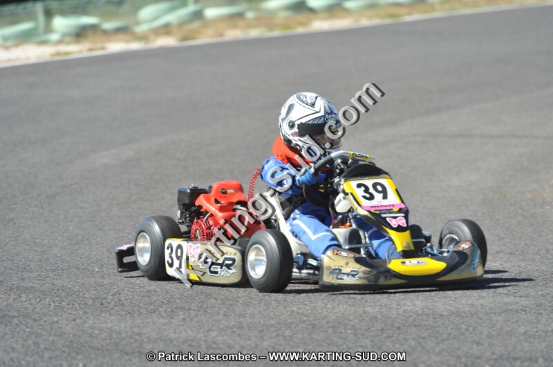 DSC (2788).JPG
